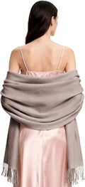 Diarylook Kaschmir Schal Damen Winter Warm Abendkleid Pashmina Schals Tücher Für Frauen Blanket Scarf Garnelenpaste